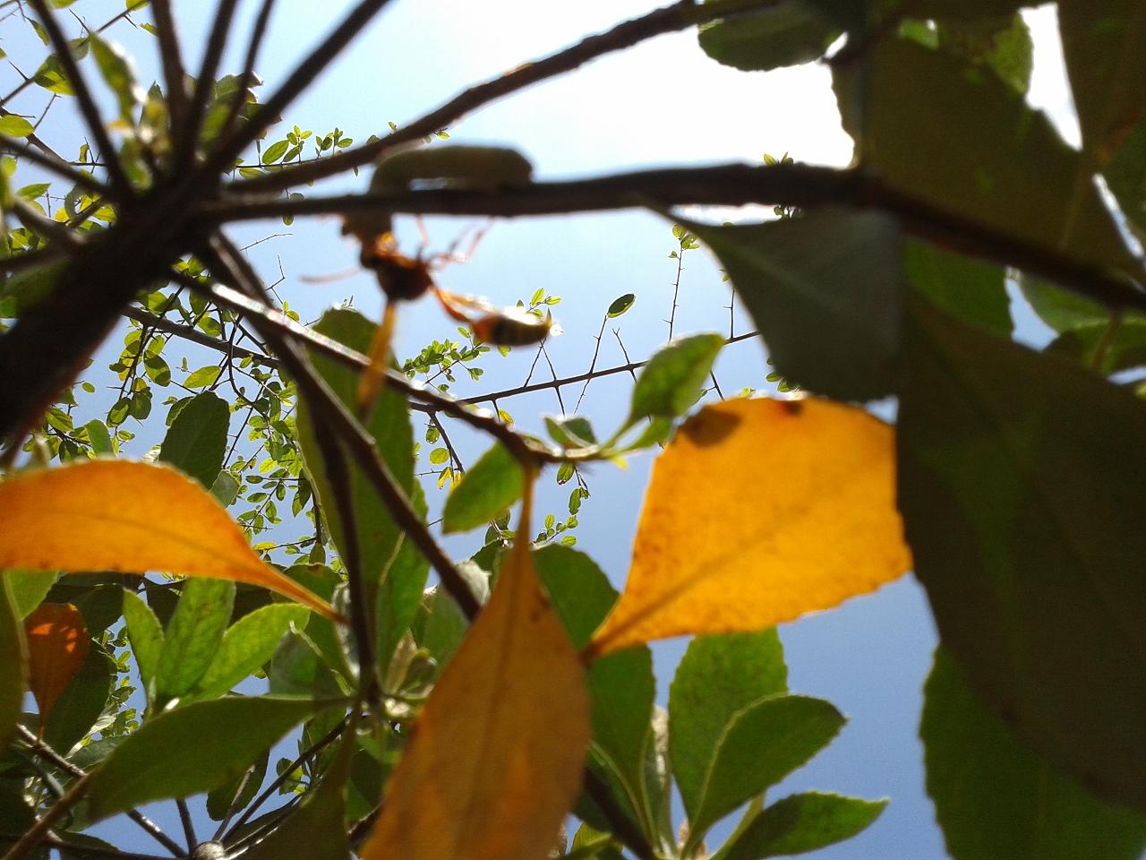 20140927_114945.jpg