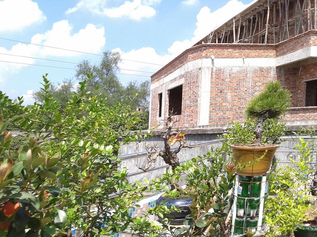 20140927_114959.jpg