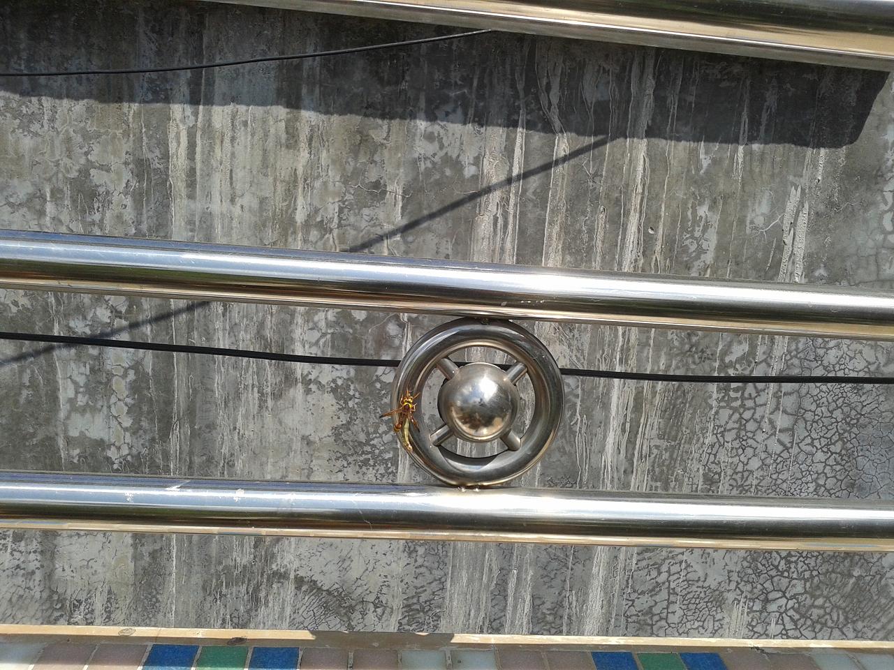 20140927_115006.jpg