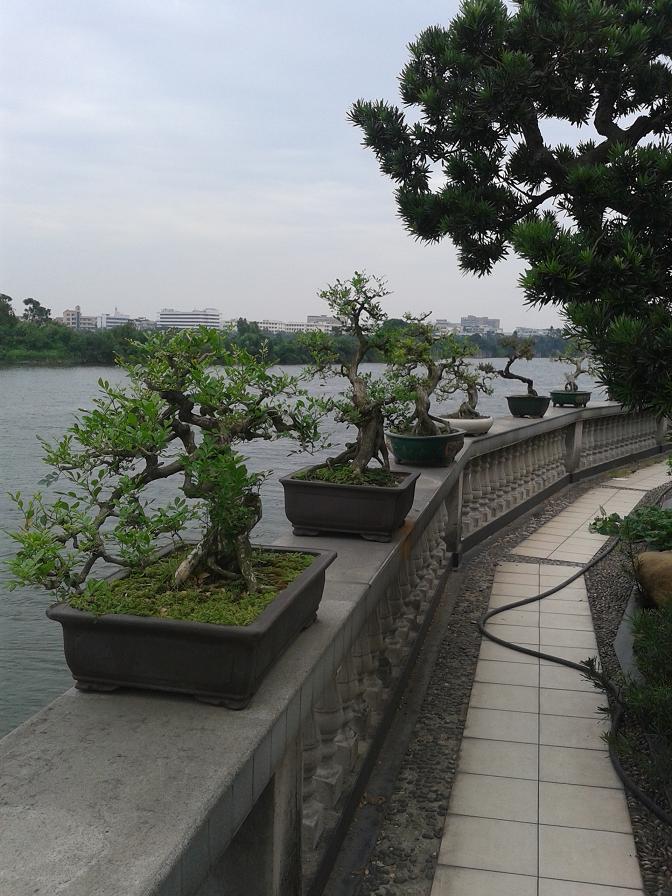 20140921_150144.jpg