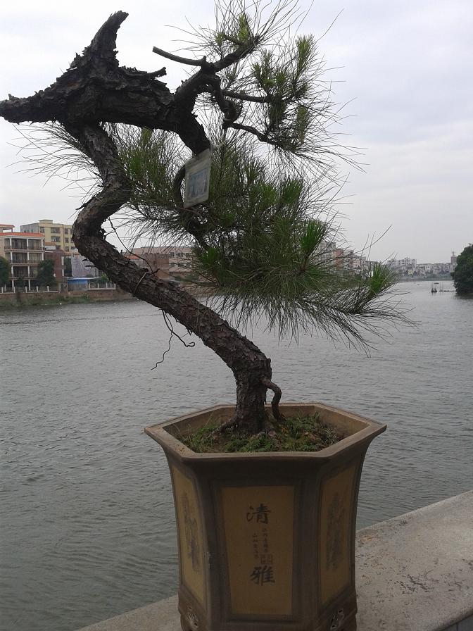 20140921_150140.jpg