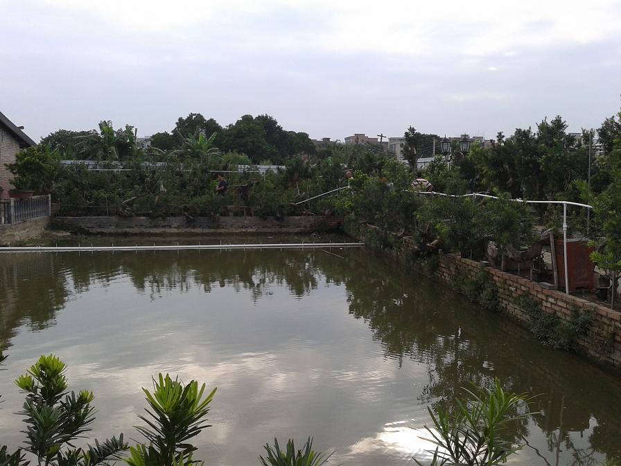 20140921_162908.jpg
