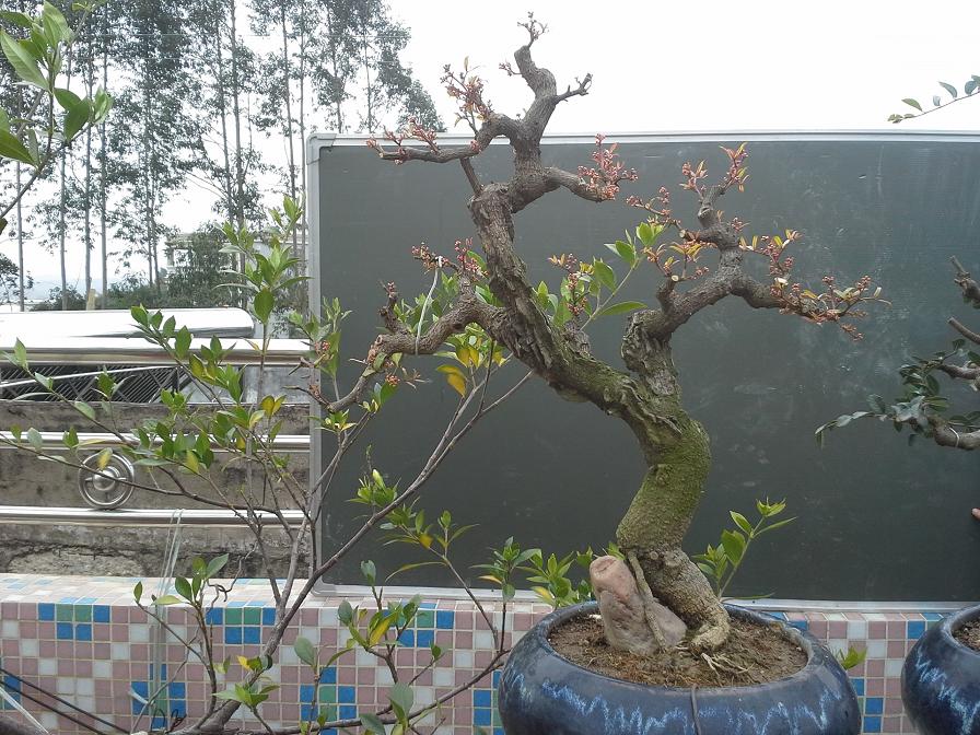 20130117_105353.jpg