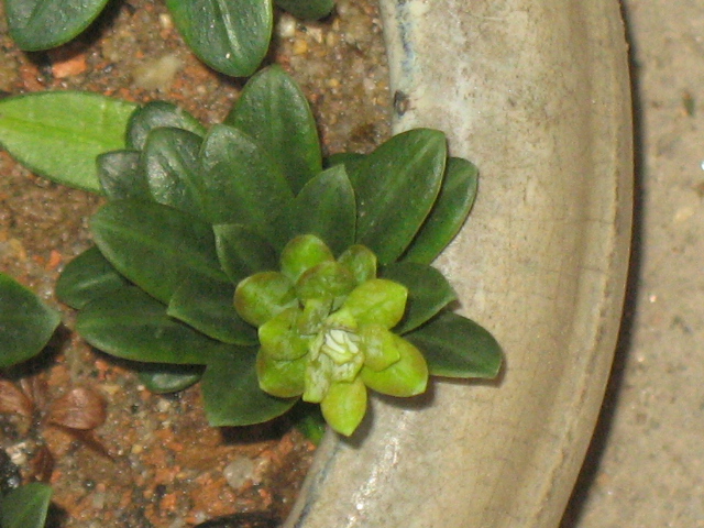IMG_8926.JPG
