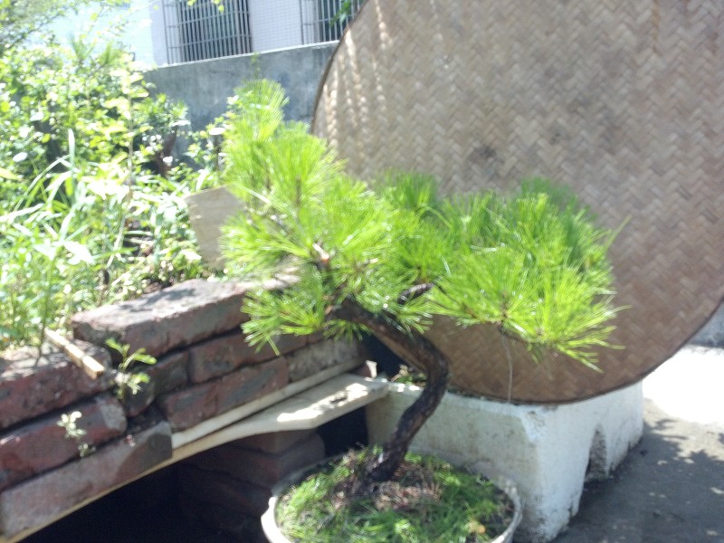 2014-07-03_11-38-44_507_www.moumu.com.jpg