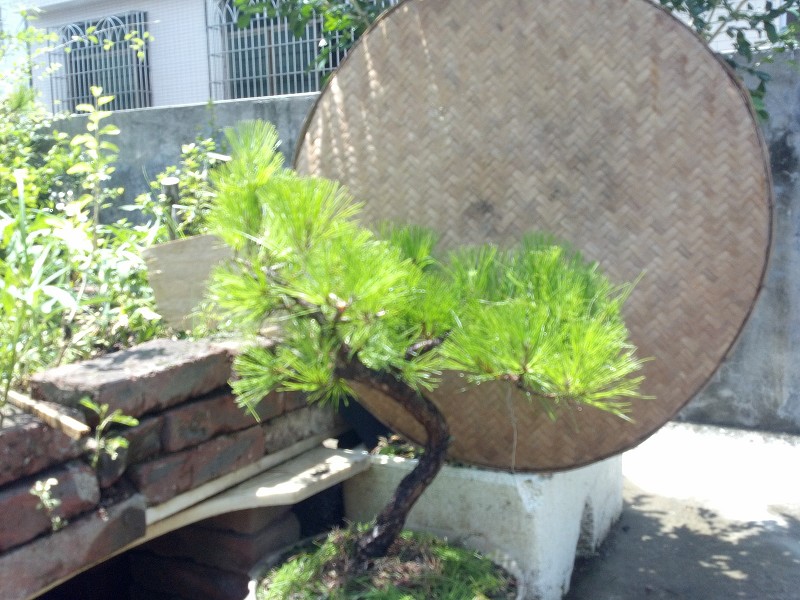2014-07-03_11-38-30_459_www.moumu.com.jpg