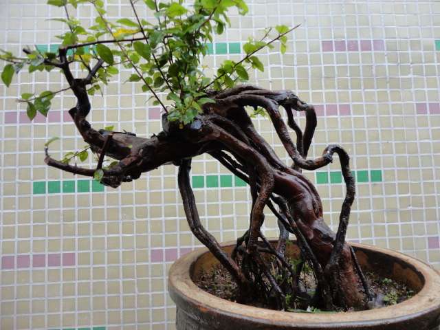 20110644o45go2c0ecou22.jpg.thumb.jpg
