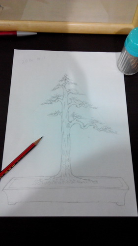 IMG_20141001_203506_СС.jpg