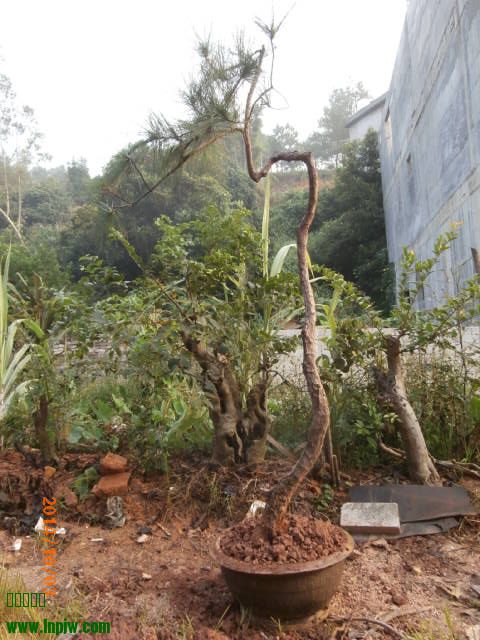 PA030440.JPG