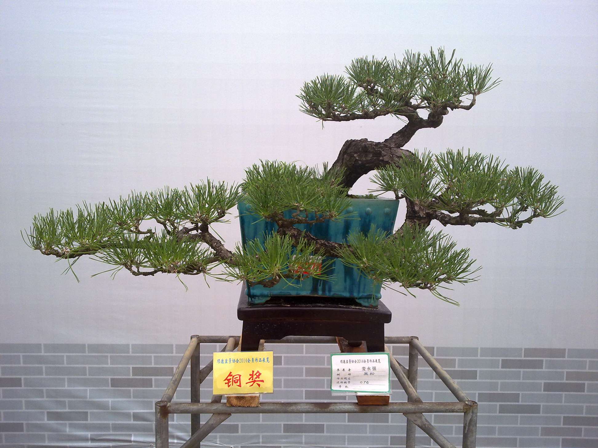 201410027840.jpg