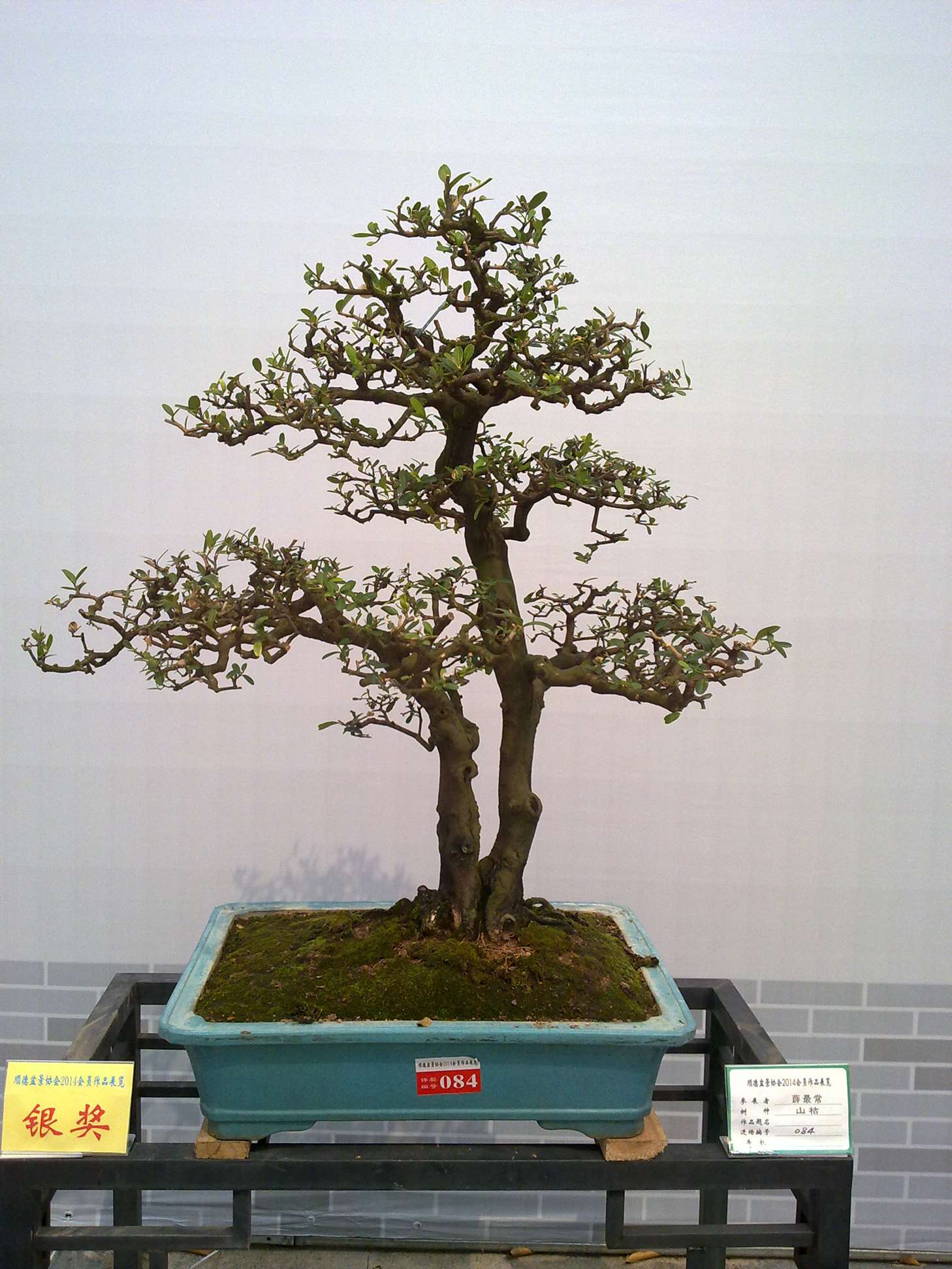 201410027909.jpg