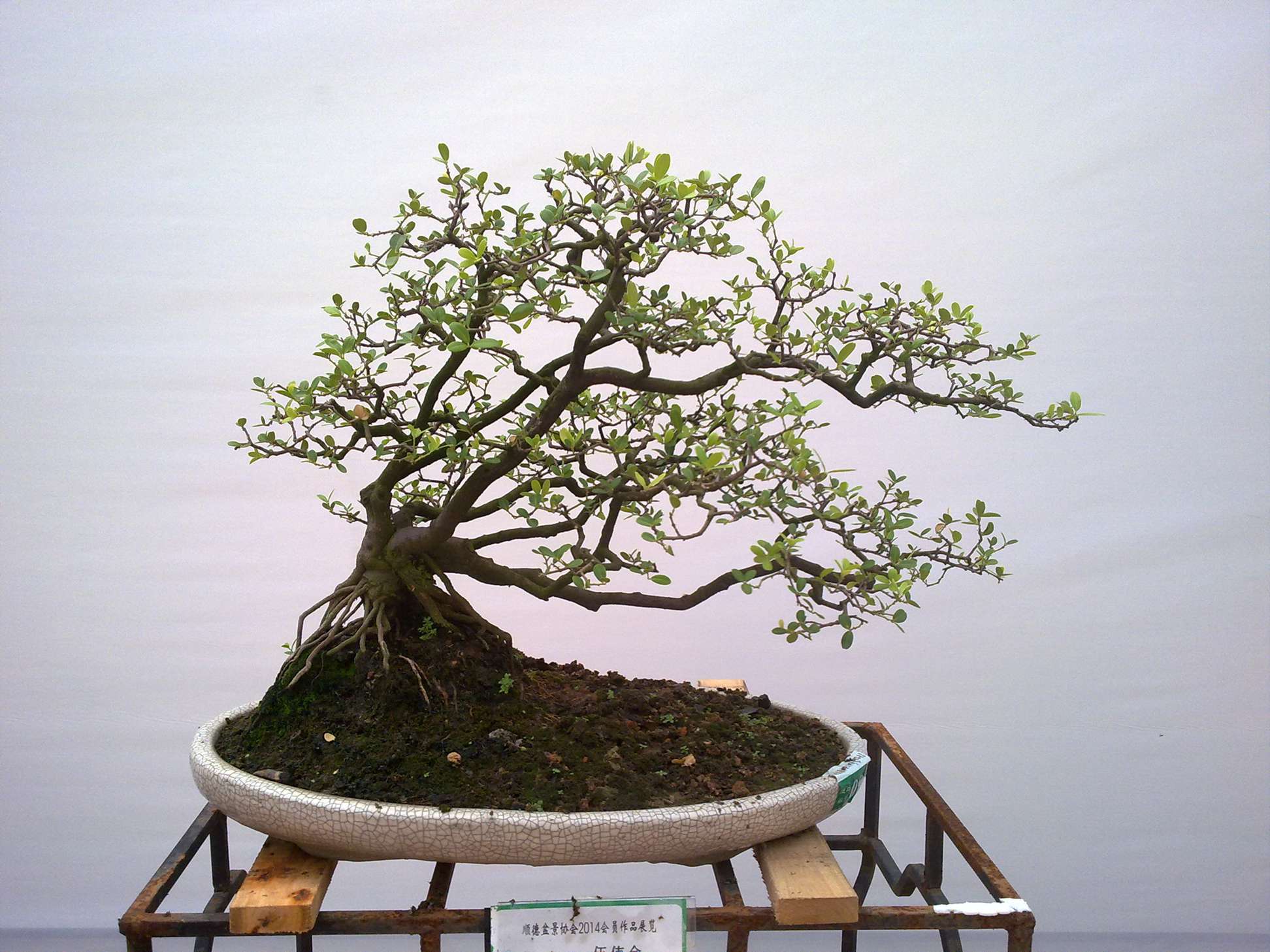 201410027910.jpg