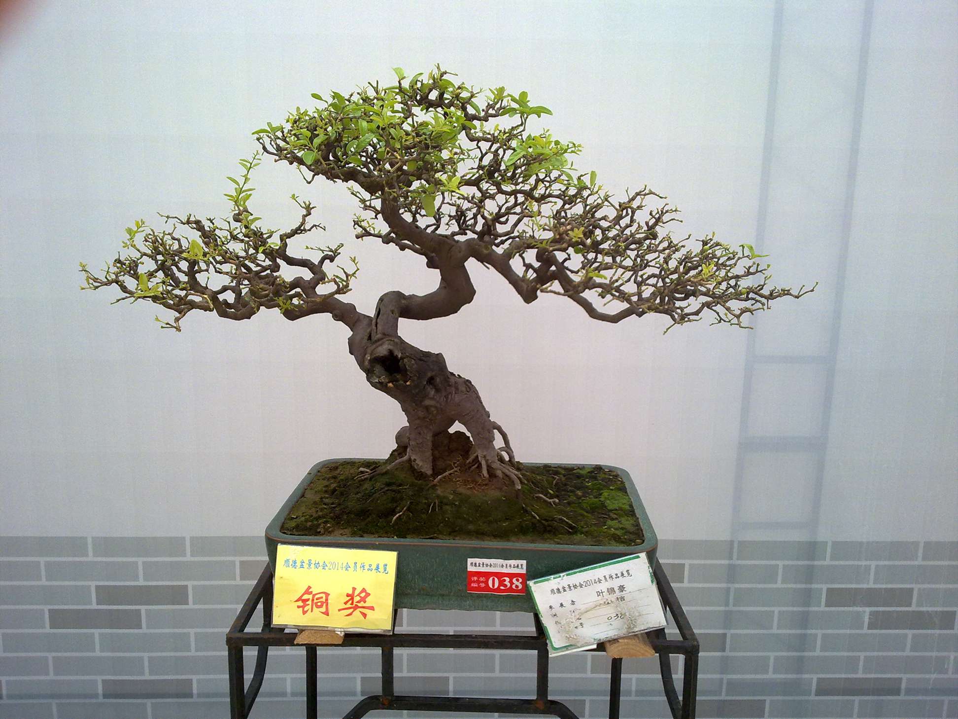 201410027915.jpg