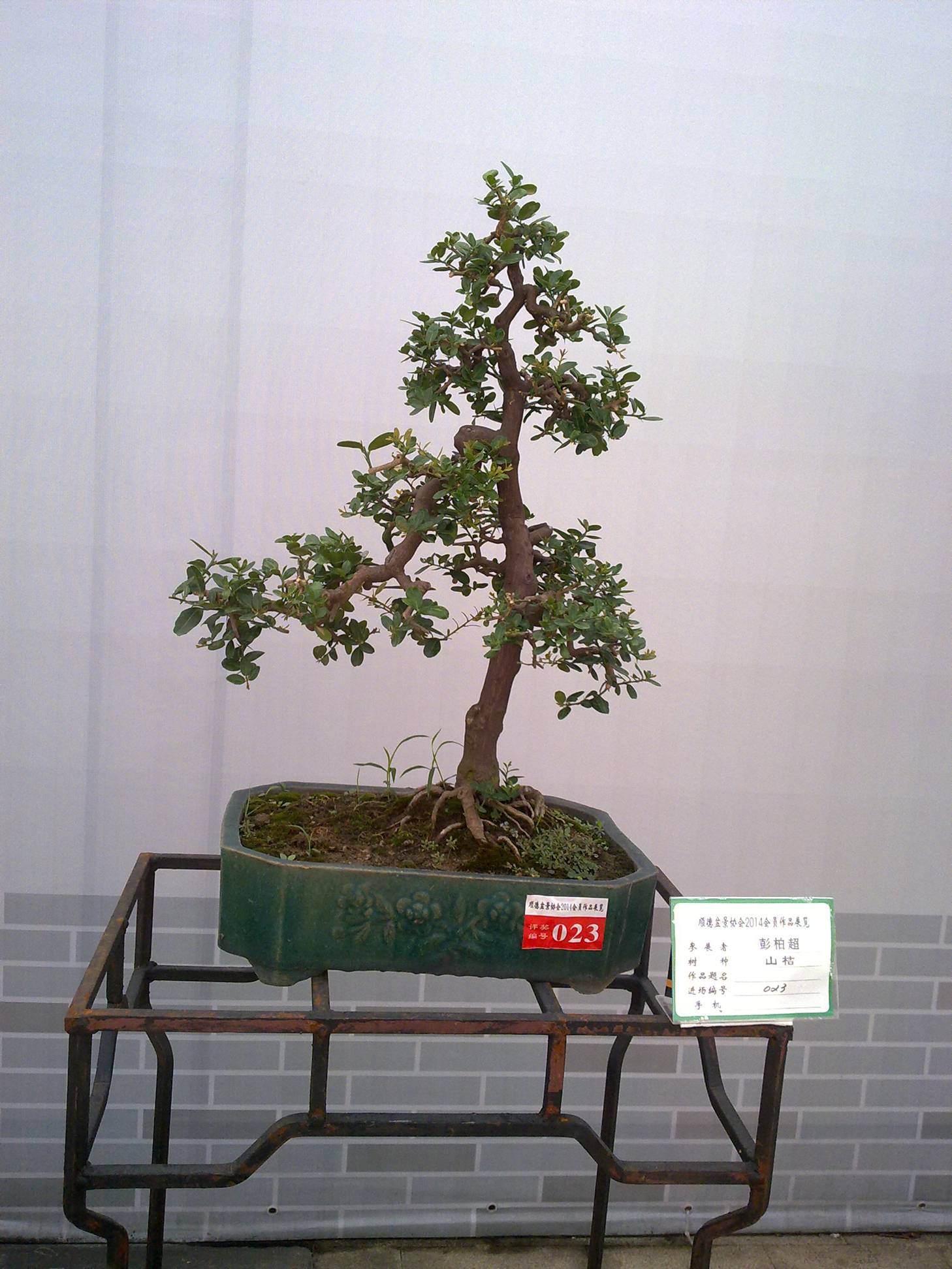 201410027916.jpg