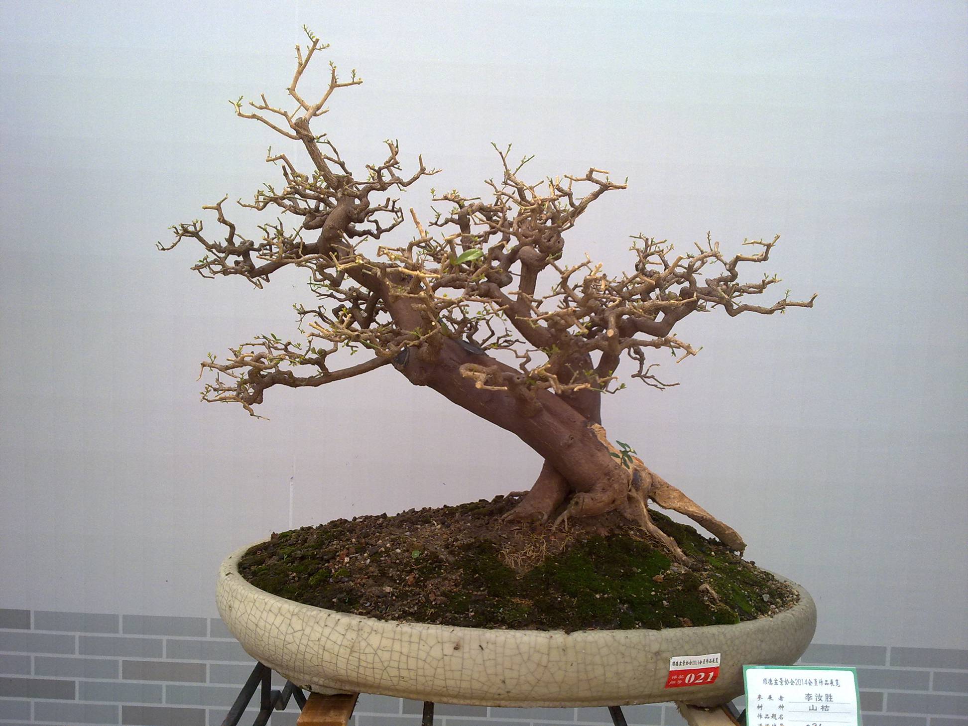 201410027917.jpg