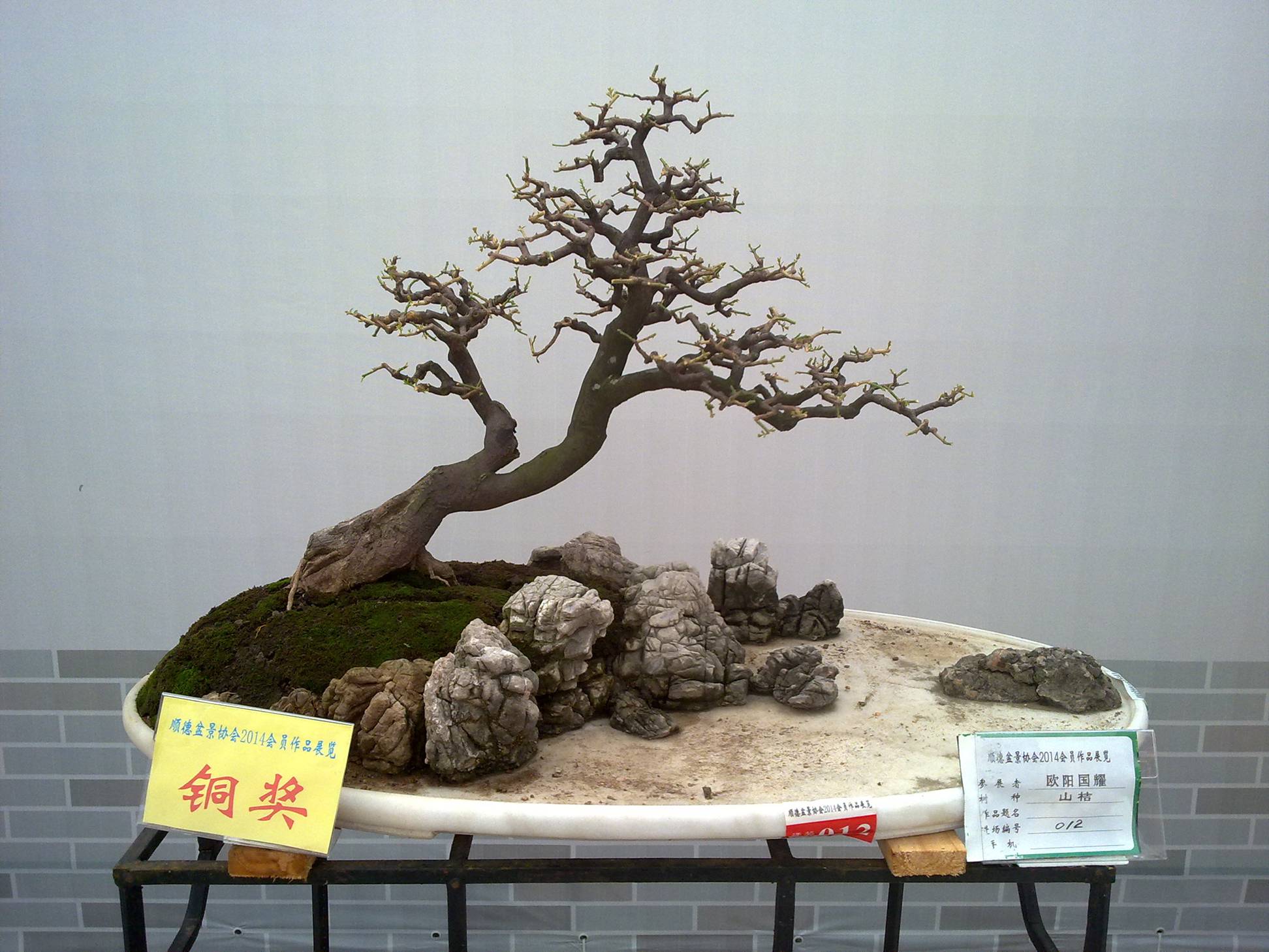 201410027923.jpg