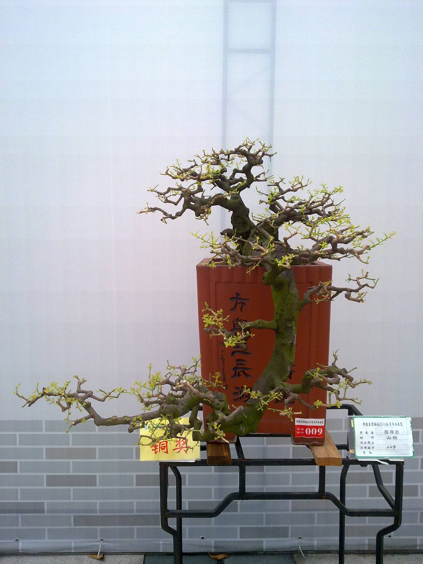 201410027924.jpg