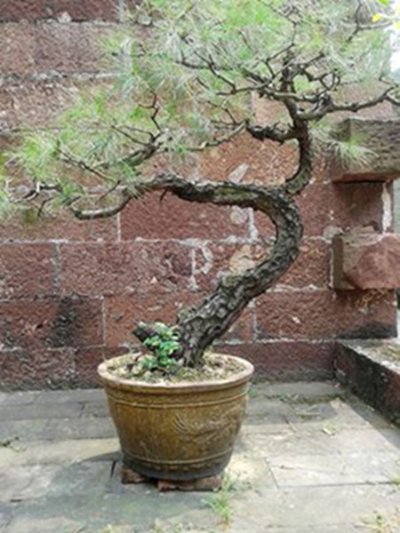 20141003_115238.jpg