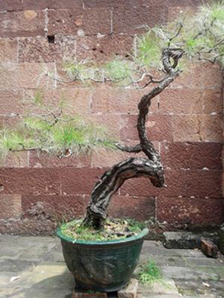 20141003_115351.jpg
