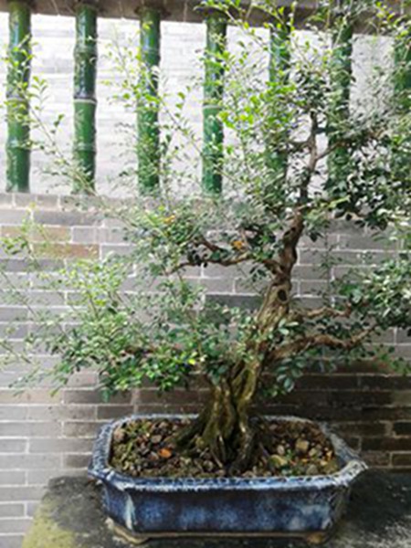 20141003_115502.jpg