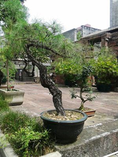 20141003_120442.jpg
