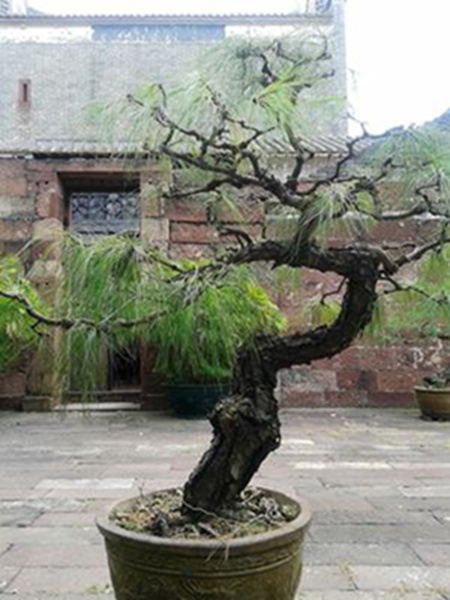 20141003_120554.jpg