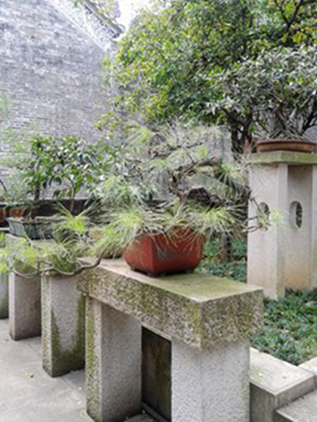 20141003_120942.jpg