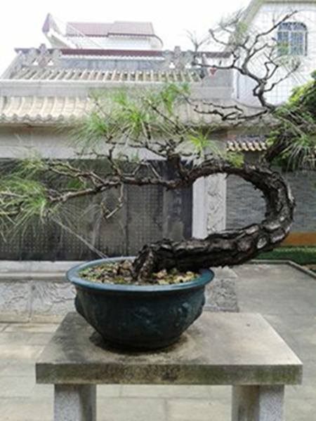 20141003_121755.jpg