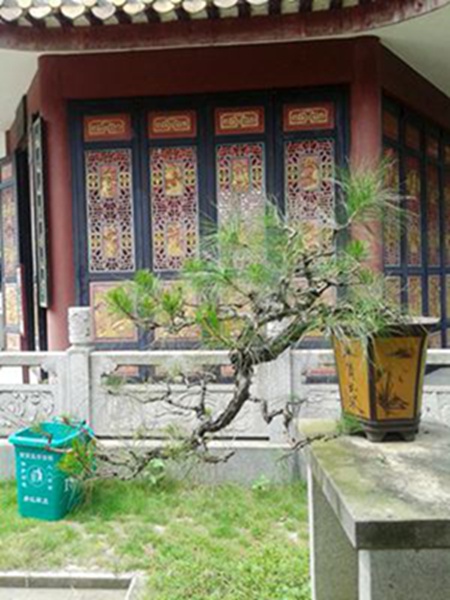 20141003_121827.jpg