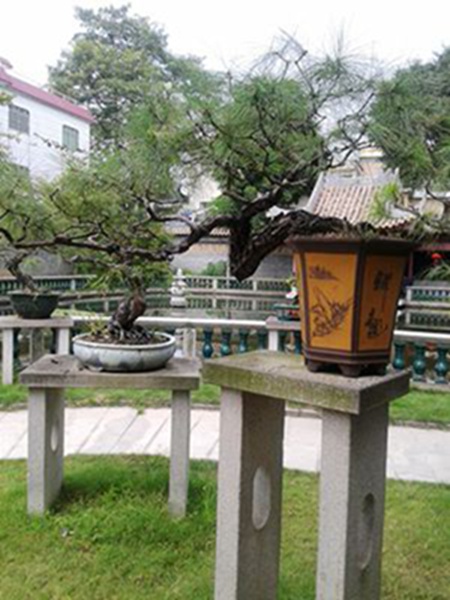 20141003_122030.jpg