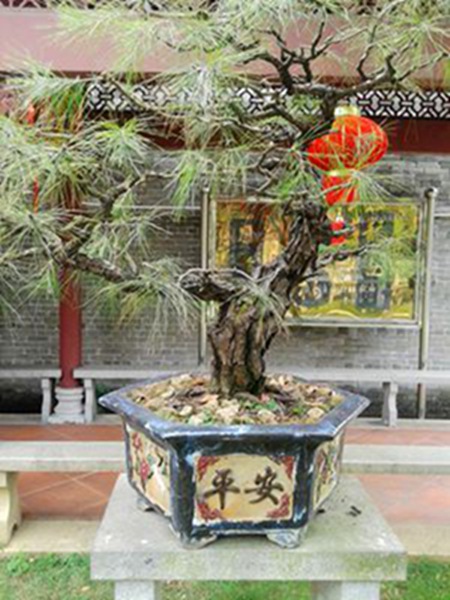 20141003_122310.jpg