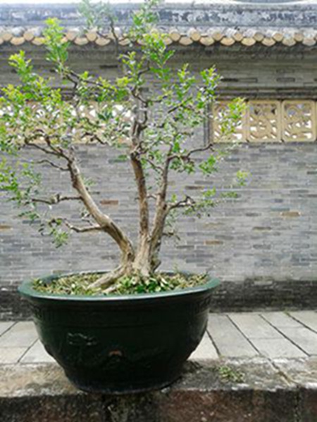 20141003_124356.jpg