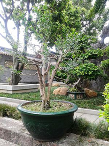 20141003_124444.jpg