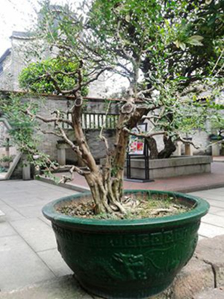 20141003_124505.jpg