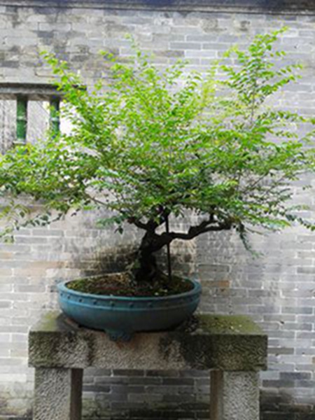 20141003_124721.jpg