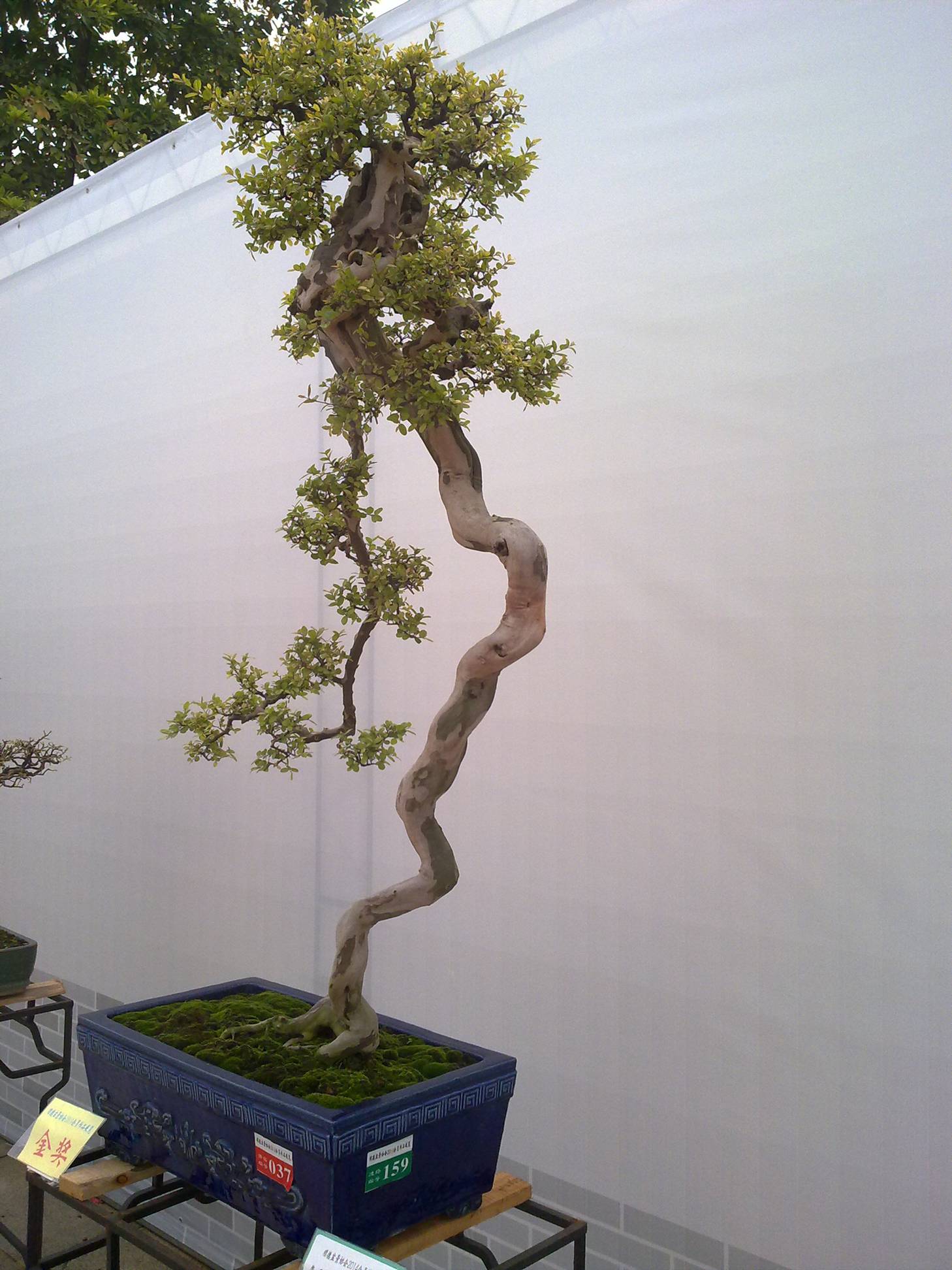 201410027949.jpg