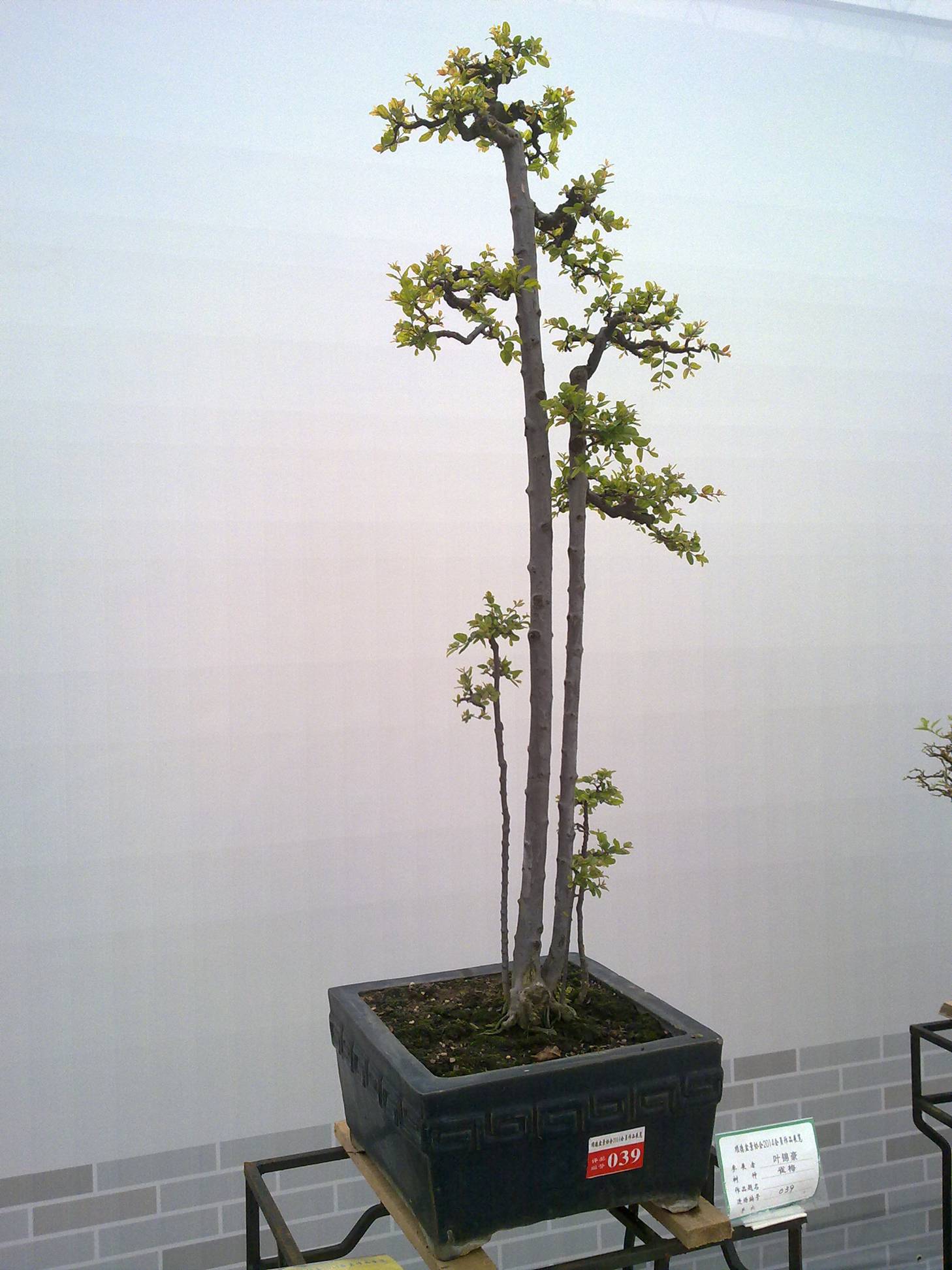 201410027951.jpg