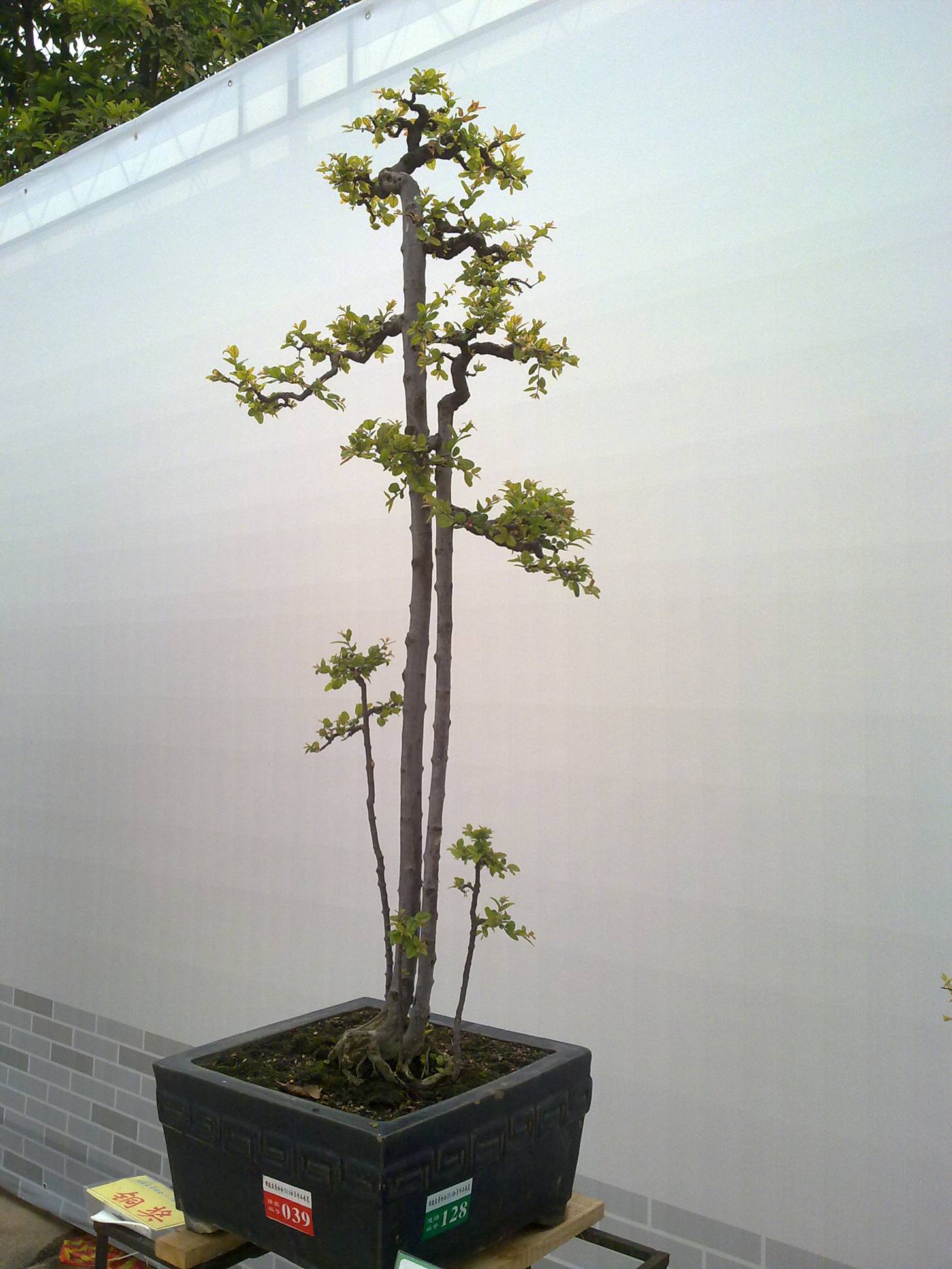 201410027952.jpg