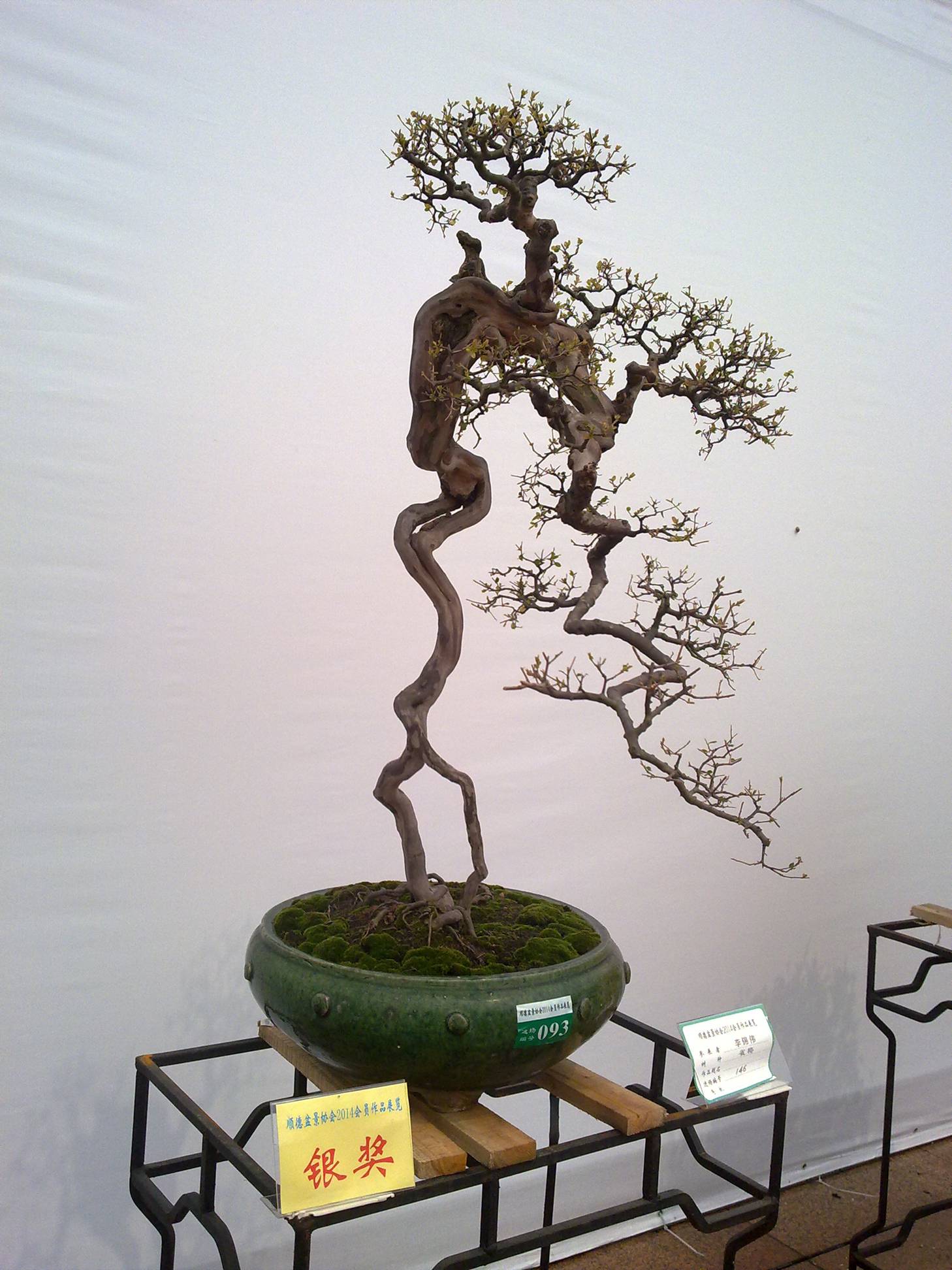 201410027955.jpg