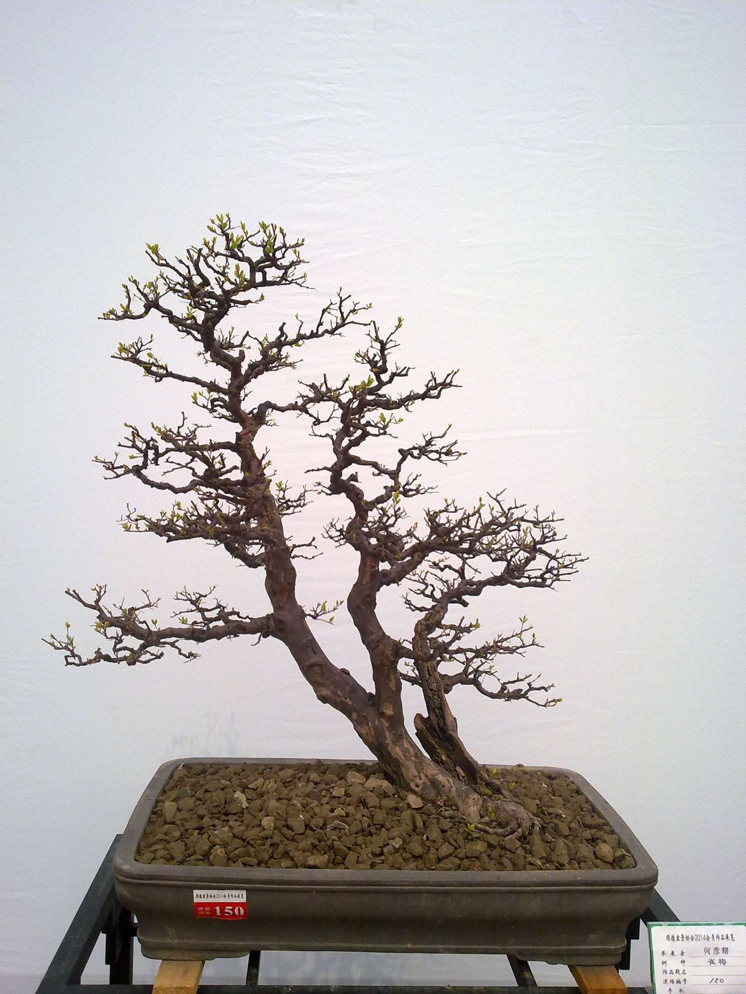 201410027956.jpg