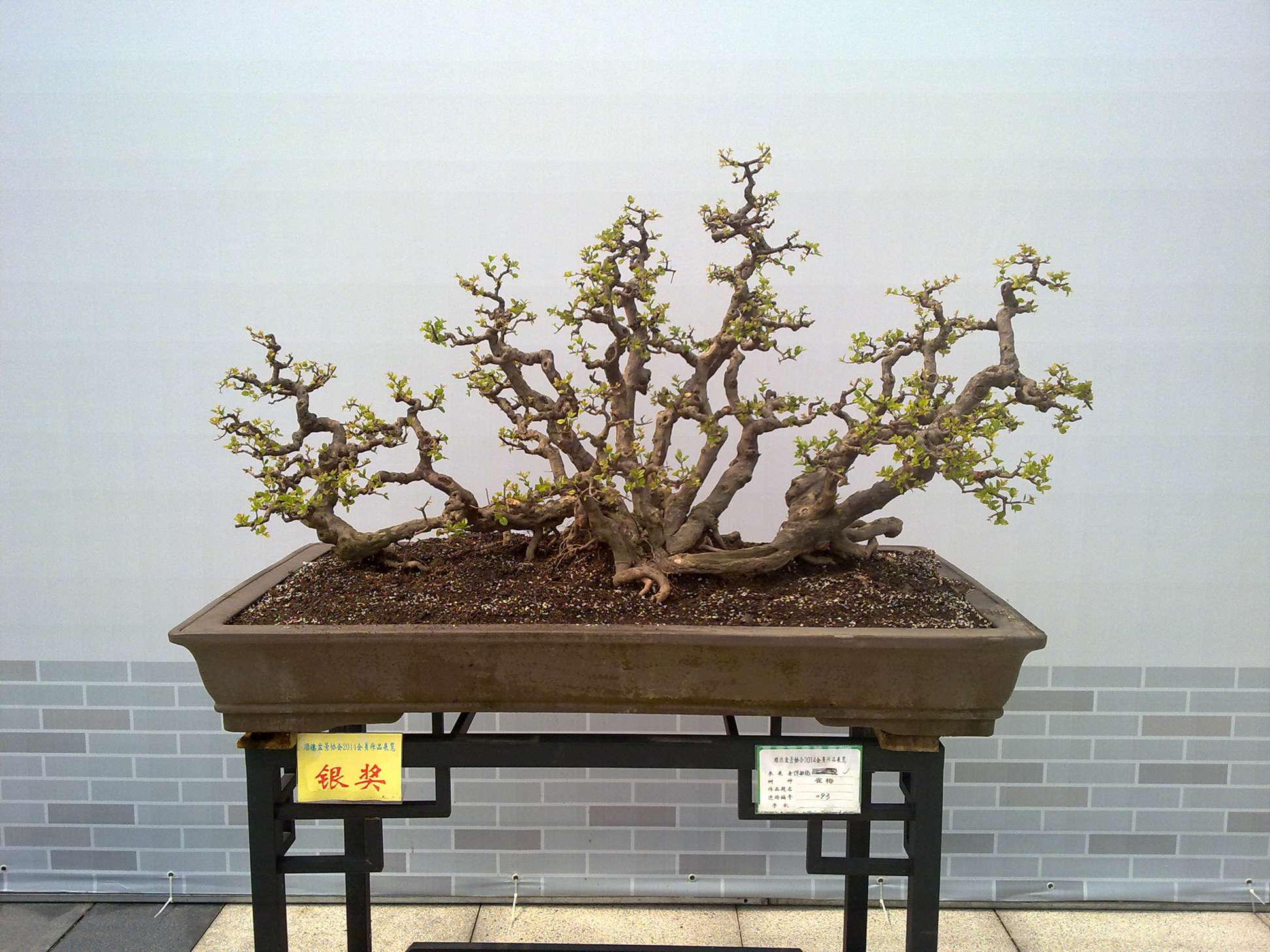 201410027957.jpg
