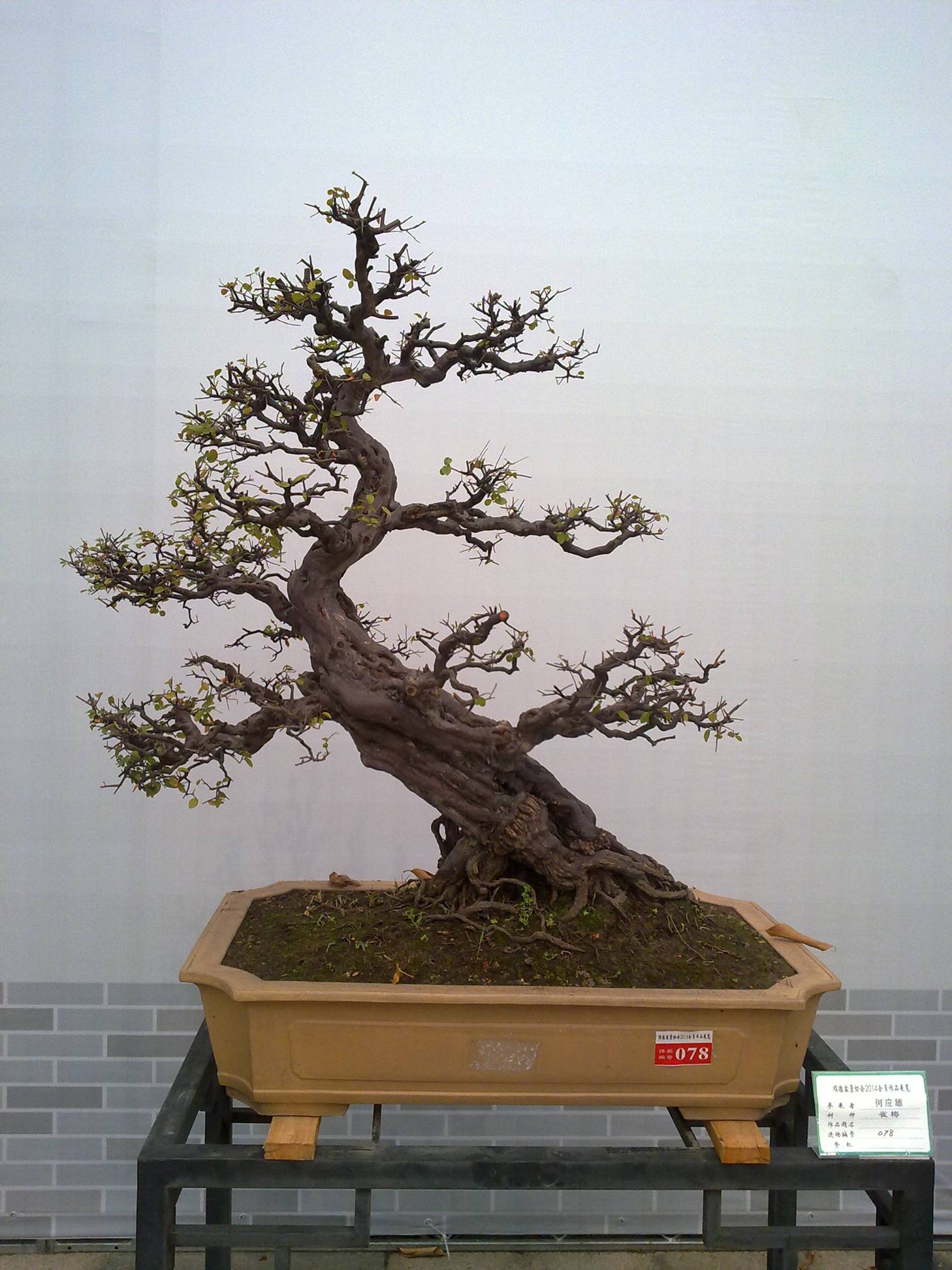 201410027958.jpg