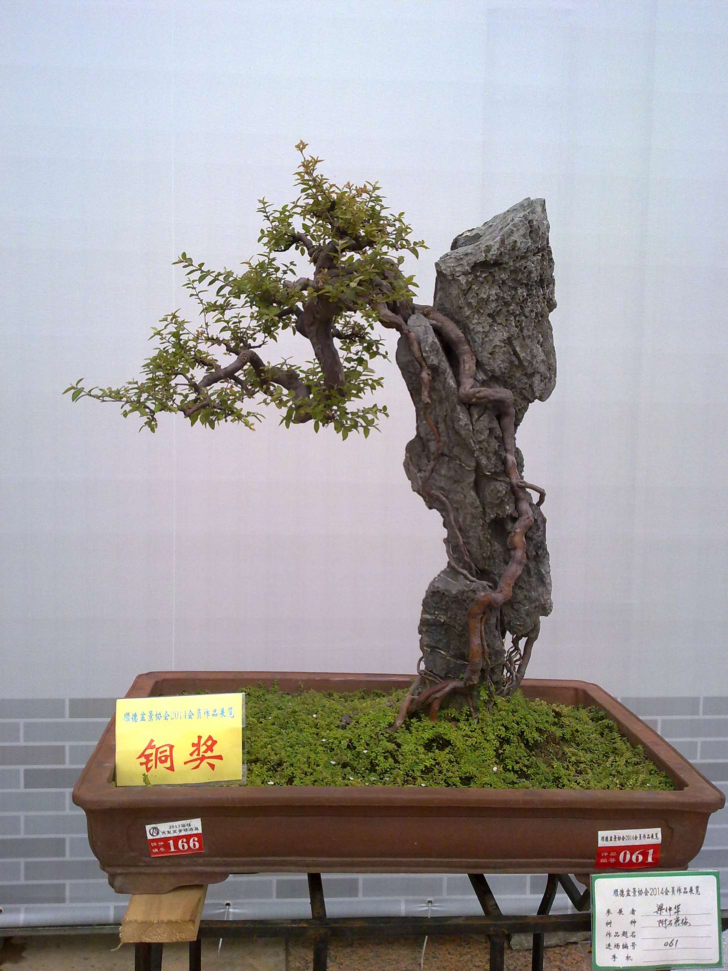 201410027959.jpg