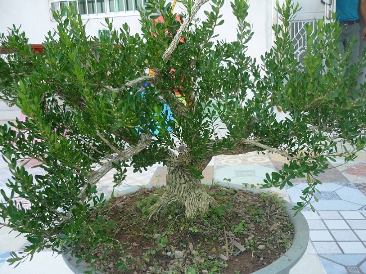 P1020523.JPG