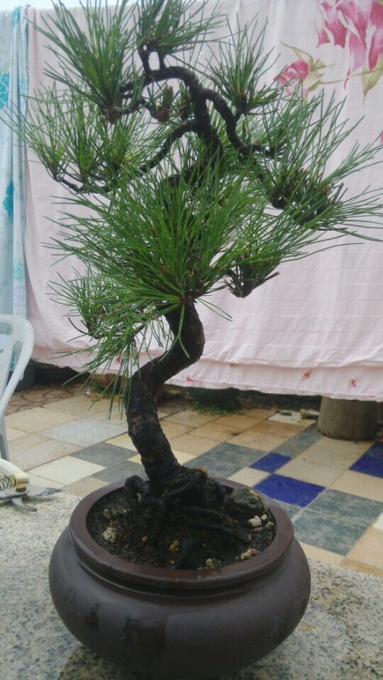 QQͼƬ20141004203322.jpg