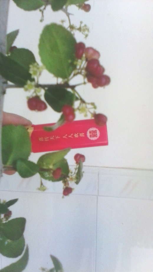 һڳɳезĿ̣ɫĹʵ˶ۣƯ