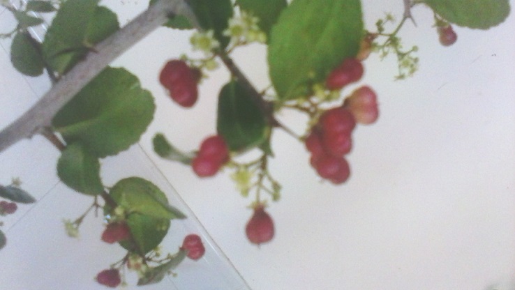 һڳɳезĿ̣ɫĹʵ˶ۣƯ