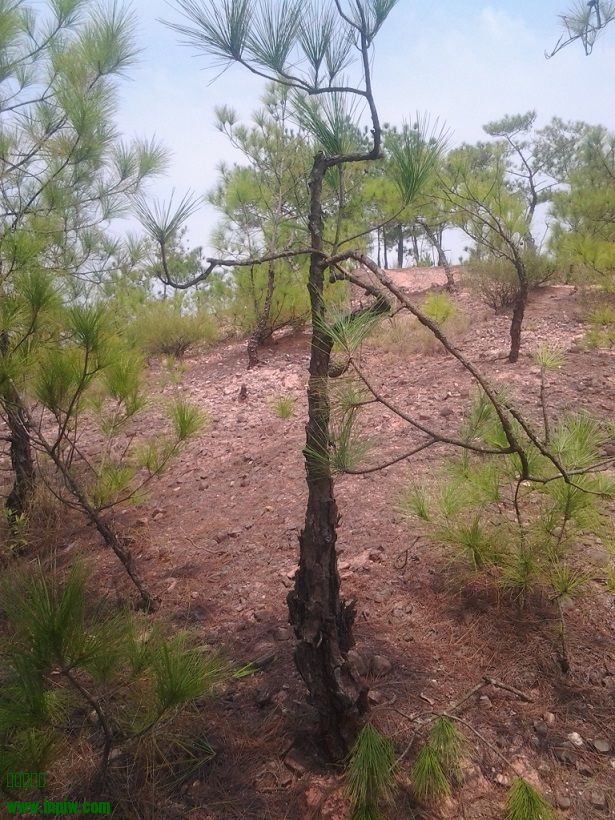 20140923_130532.jpg