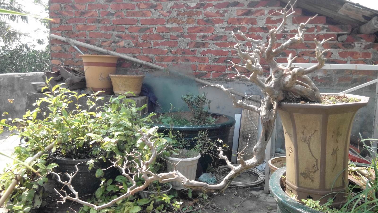 20141005102116.jpg