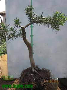 IMG_0112.JPG